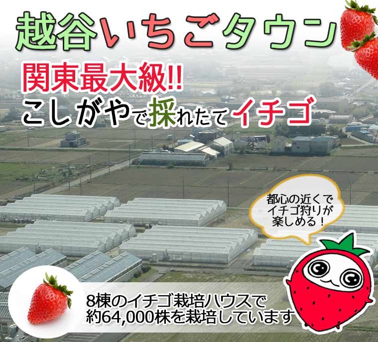 いちごタウン